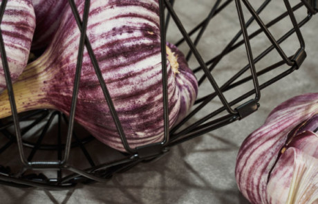 VANNES CUISINES Cuisiniste Vannes IKONO9