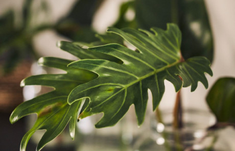 VANNES CUISINES Cuisiniste Vannes MINERA11