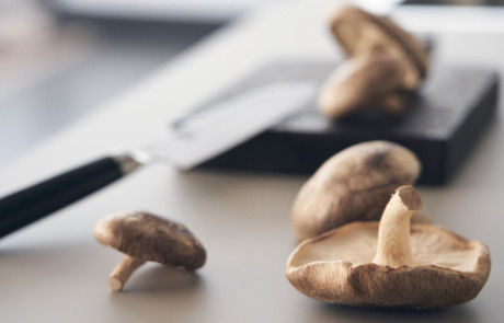 VANNES CUISINES Cuisiniste Vannes Metea9