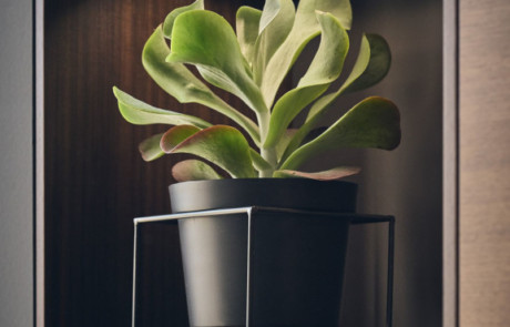 VANNES CUISINES Cuisiniste Vannes Steel8