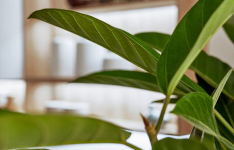 VANNES CUISINES Cuisiniste Vannes Synthia9