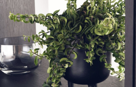 VANNES CUISINES Cuisiniste Vannes Toppo9