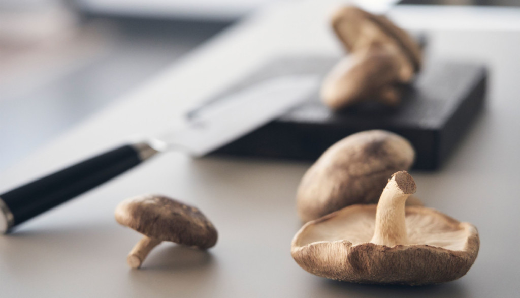 VANNES CUISINES Cuisiniste Vannes 9 5